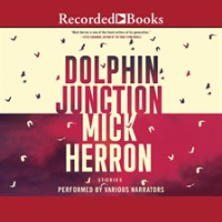 Dolphin_Junction__Stories